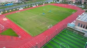 高情商的说法是专注联赛，低情商是一顿王八拳没打过布莱顿